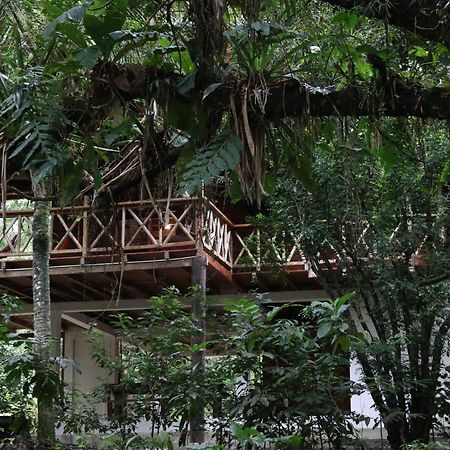 Caoni Riverside Suites - Birders Paradise By The River, Ecuadorian Choco 基多港 外观 照片