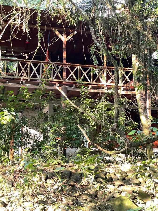 Caoni Riverside Suites - Birders Paradise By The River, Ecuadorian Choco 基多港 外观 照片